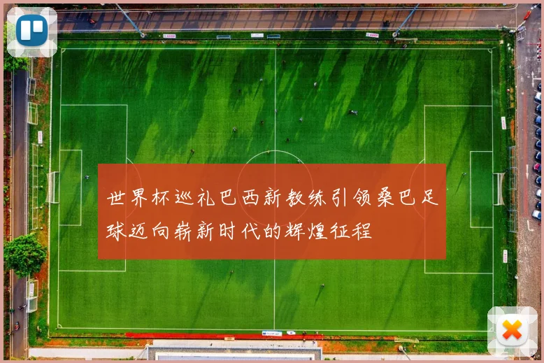世界杯巡礼巴西新教练引领桑巴足球迈向崭新时代的辉煌征程
